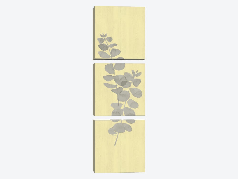 Natural Inspiration Eucalyptus Panel Gray & Yellow II by Tara Reed 3-piece Canvas Art Print