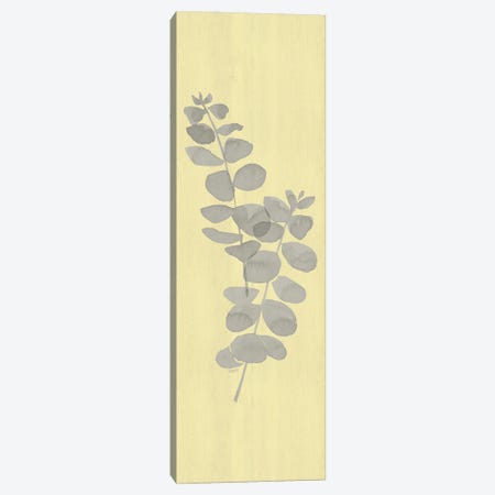 Natural Inspiration Eucalyptus Panel Gray & Yellow II Canvas Print #TRE545} by Tara Reed Canvas Wall Art