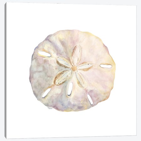 Oceanum Shells White IV-Sand Dollar Canvas Print #TRE549} by Tara Reed Canvas Print