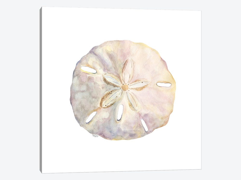Oceanum Shells White IV-Sand Dollar by Tara Reed 1-piece Art Print