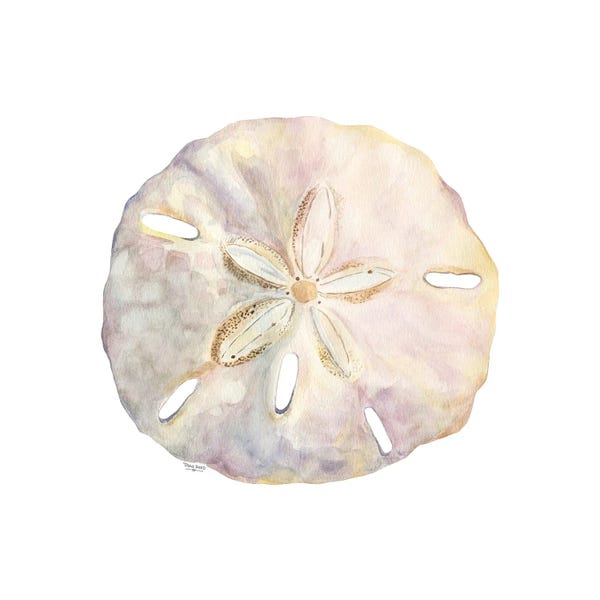 Sea Shells: Oceanum Shells White IV-Sand Dollar by Tara Reed