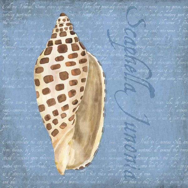 Sea Shells: Oceanum Shells Blue II by Tara Reed