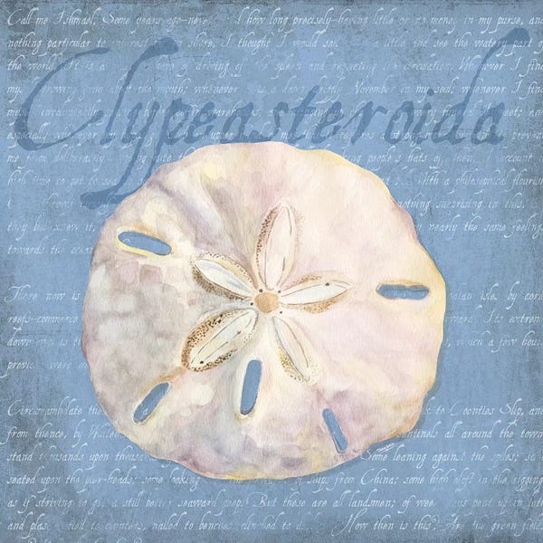 Sea Shells: Oceanum Shells Blue IV by Tara Reed