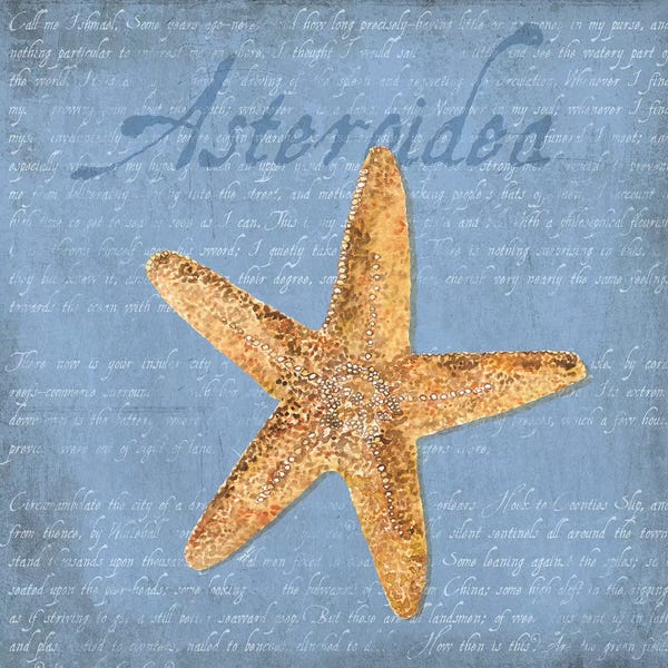 Starfish: Oceanum Shells Blue VI by Tara Reed