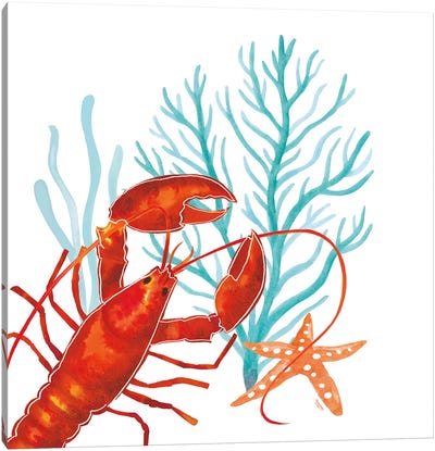 Coral Aqua IX Canvas Art Print - Lobster Art