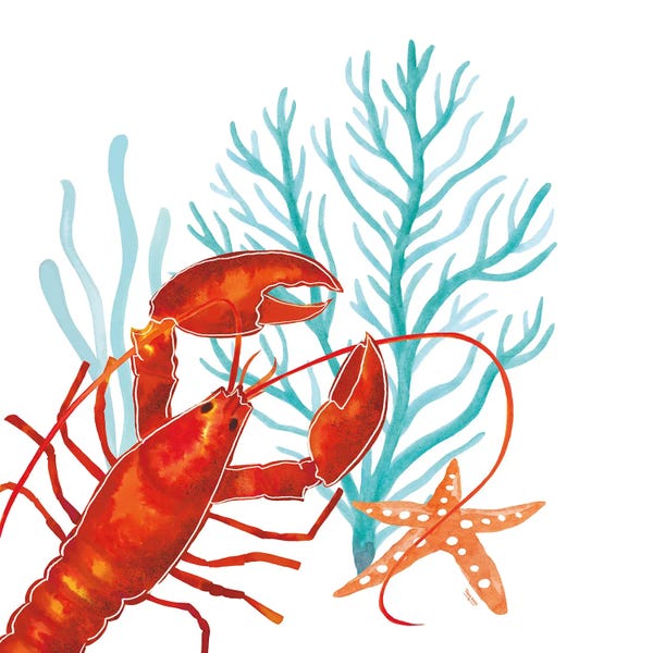 Starfish: Coral Aqua IX by Tara Reed