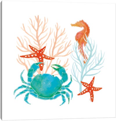 Coral Aqua VII Canvas Art Print - Seahorse Art