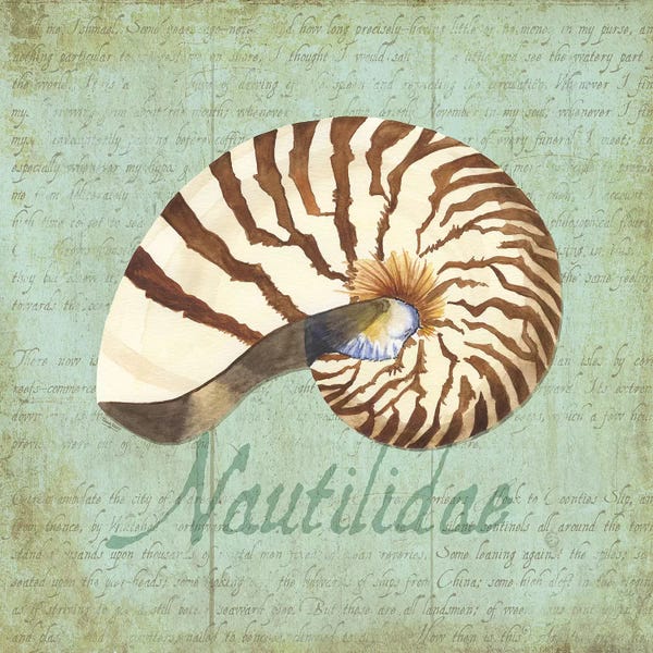 Sea Shells: Oceanum Shells Green III by Tara Reed