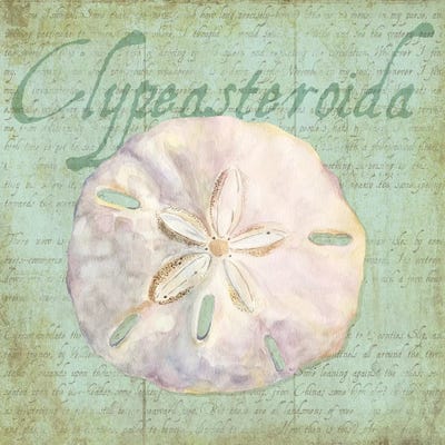 Oceanum Shells Green IV by Tara Reed framed canvas print