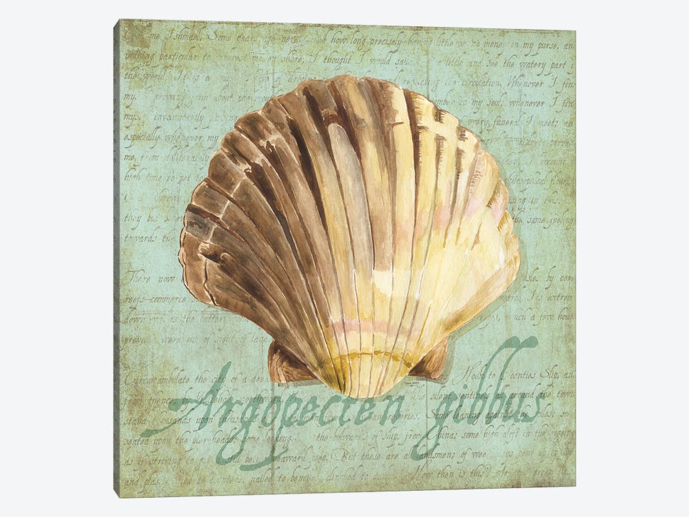 Oceanum Shells Green V by Tara Reed 1-piece Art Print
