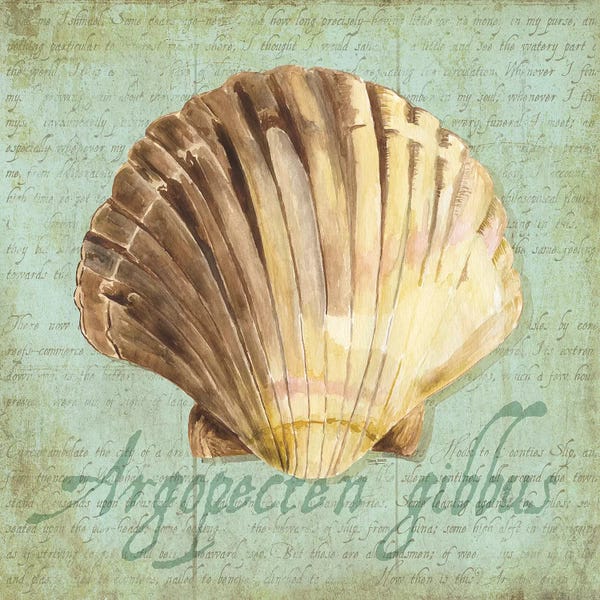 Sea Shells: Oceanum Shells Green V by Tara Reed