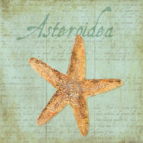 Starfish: Oceanum Shells Green VI by Tara Reed