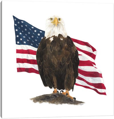 Let Freedom Soar I Canvas Art Print - Eagle Art