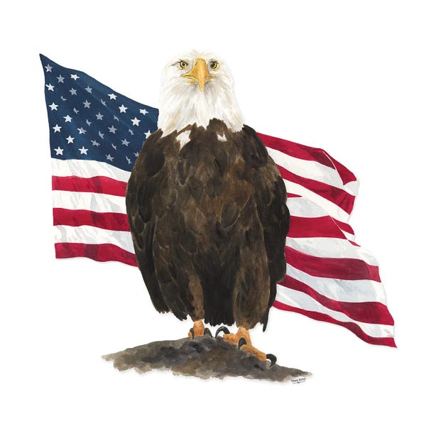 American Flags: Let Freedom Soar I by Tara Reed