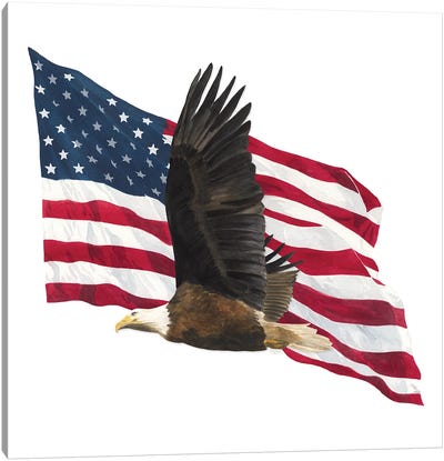 Let Freedom Soar IV Canvas Art Print - Eagle Art
