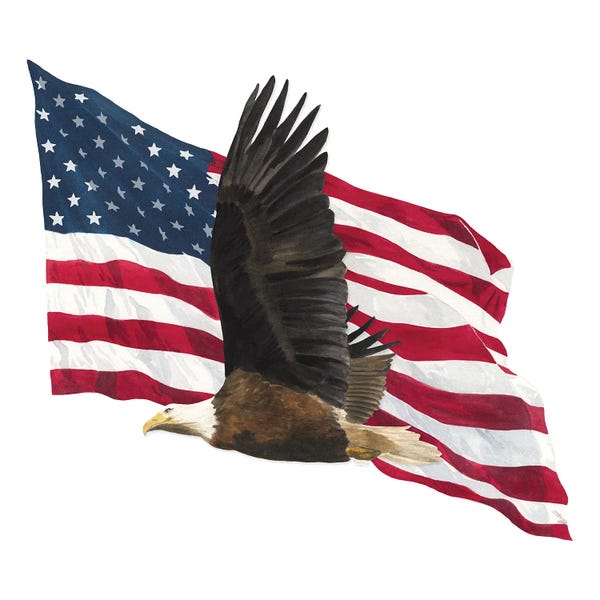 Tara Reed: Let Freedom Soar IV by Tara Reed