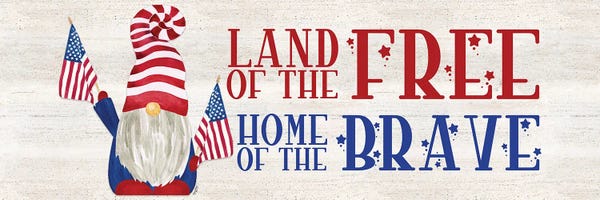 Gnomes: Patriotic Gnomes I by Tara Reed