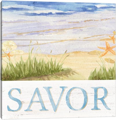 Savor The Sea III Canvas Art Print - Tara Reed