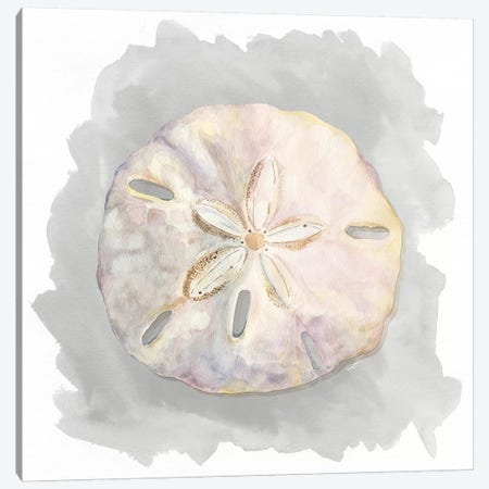 Shells On Grey IV Canvas Print #TRE80} by Tara Reed Canvas Art