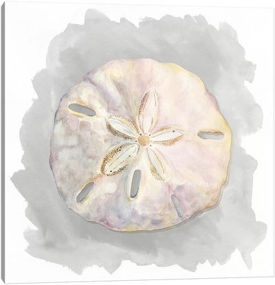 Shells On Grey IV Canvas Art Print - Tara Reed