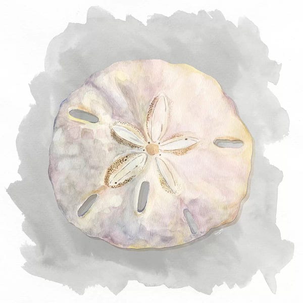 Sand Dollars: Shells On Grey IV by Tara Reed