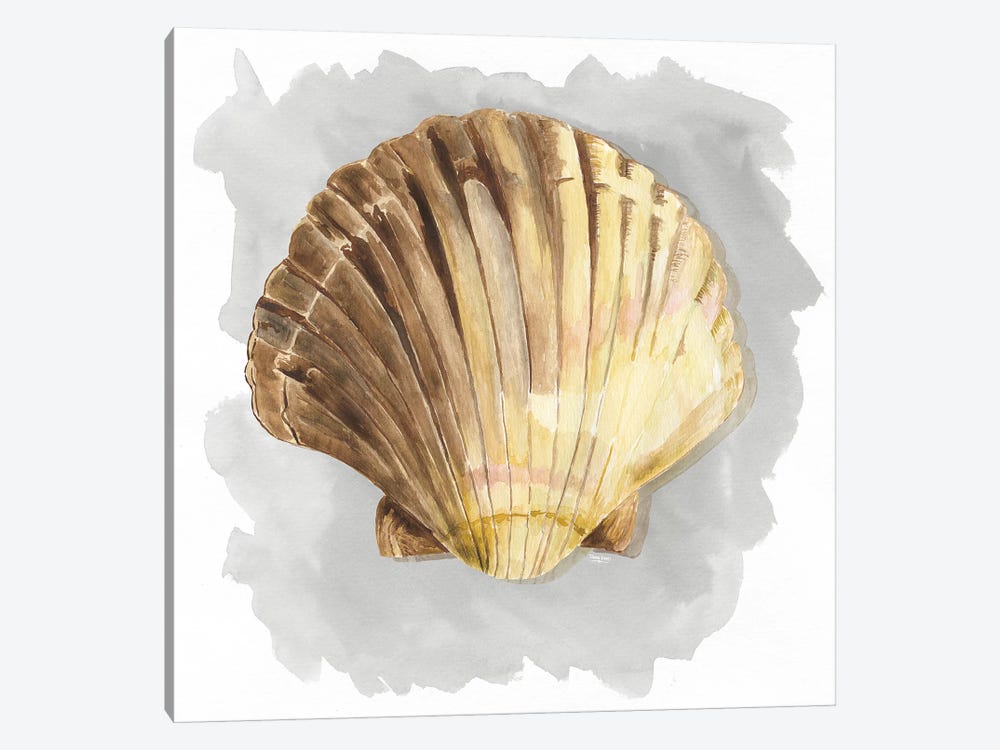 Shells On Grey V by Tara Reed 1-piece Art Print