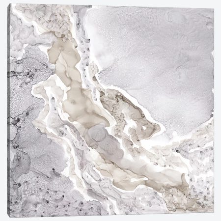 Silver & Grey Mineral Abstract Canvas Print #TRE83} by Tara Reed Canvas Art