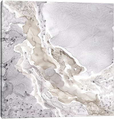 Silver & Grey Mineral Abstract Canvas Art Print - Silver Art