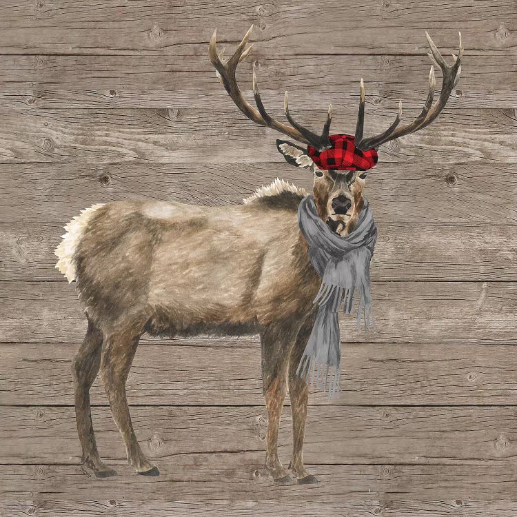 Warm In The Wilderness Deer
