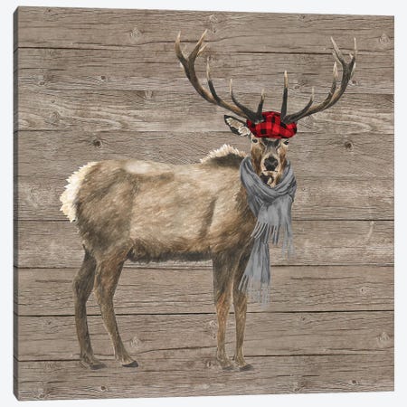 Warm In The Wilderness Deer Canvas Print #TRE85} by Tara Reed Art Print