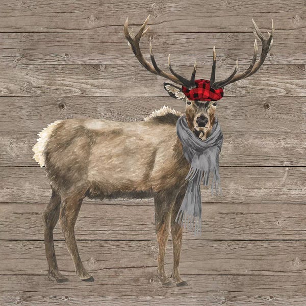 Deer: Warm In The Wilderness Deer by Tara Reed