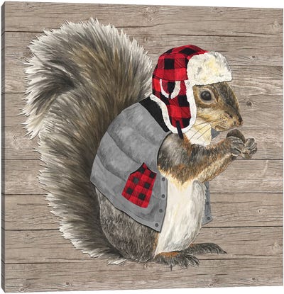 Warm In The Wilderness Squirrel Canvas Art Print - Rodent Art