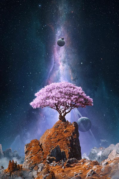 Tobias Roetsch: Ambition by Tobias Roetsch