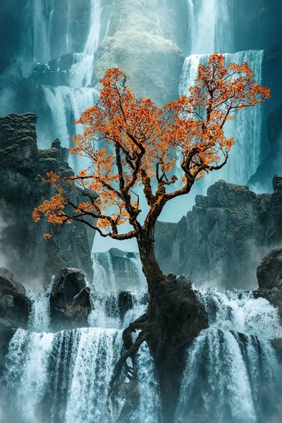 Tobias Roetsch: Persistence by Tobias Roetsch