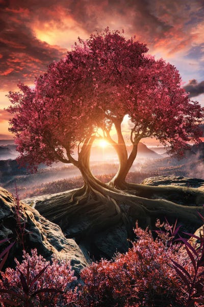 Unity by Tobias Roetsch framed canvas print