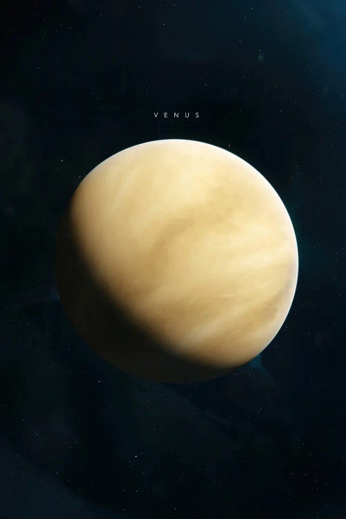 Venus by Tobias Roetsch wall art