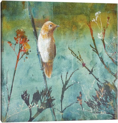 Australian Reed Warbler Canvas Art Print - Warbler Art