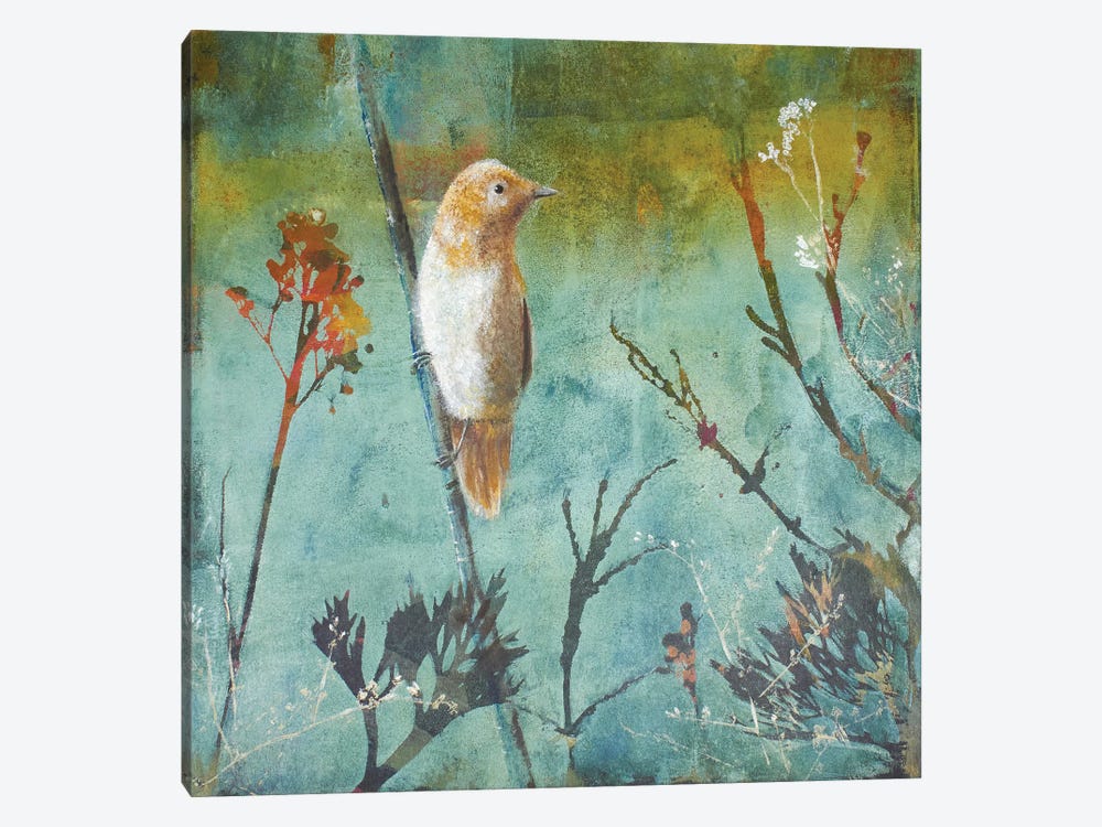 Australian Reed Warbler by Trudy Rice 1-piece Canvas Wall Art