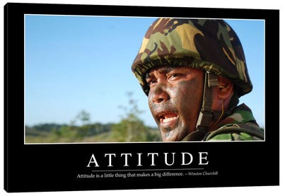 Attitude II Canvas Art Print