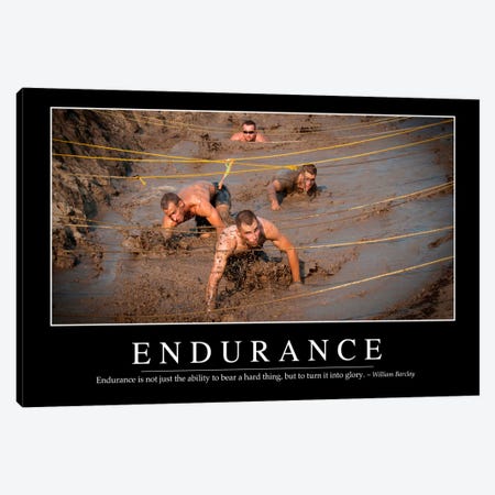 Endurance Canvas Print #TRK1097} by Stocktrek Images Canvas Wall Art