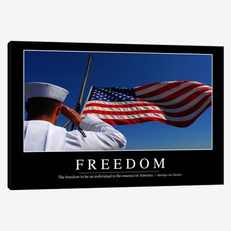 Freedom II Canvas Print #TRK1104} by Stocktrek Images Canvas Wall Art