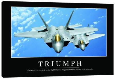 Triumph Canvas Art Print - Veterans Day