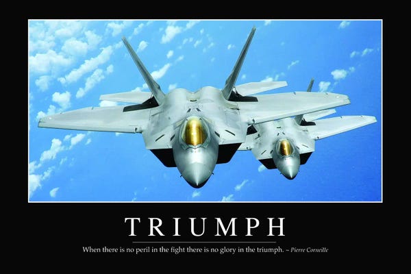 Military Aircraft: Triumph by Stocktrek Images