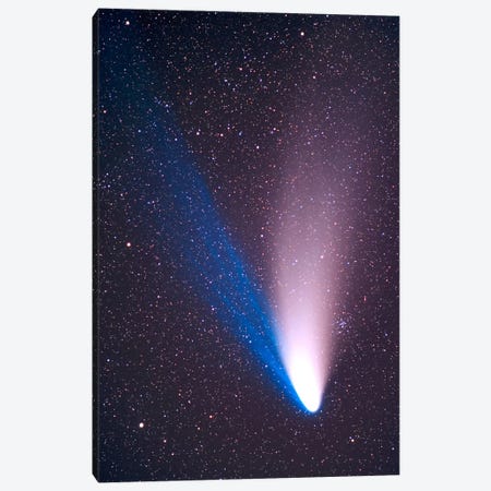 Comet Hale-Bopp, April 7, 1997 Canvas Print #TRK1165} by Alan Dyer Canvas Wall Art