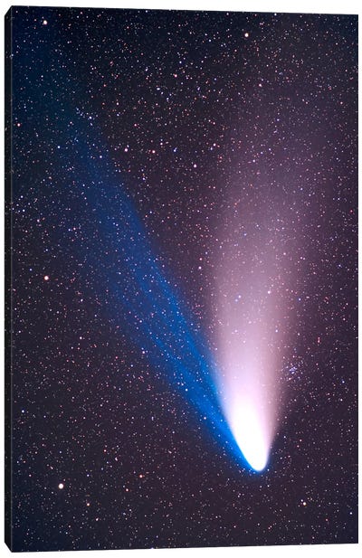 Comet Hale-Bopp, April 7, 1997 Canvas Art Print - Alan Dyer