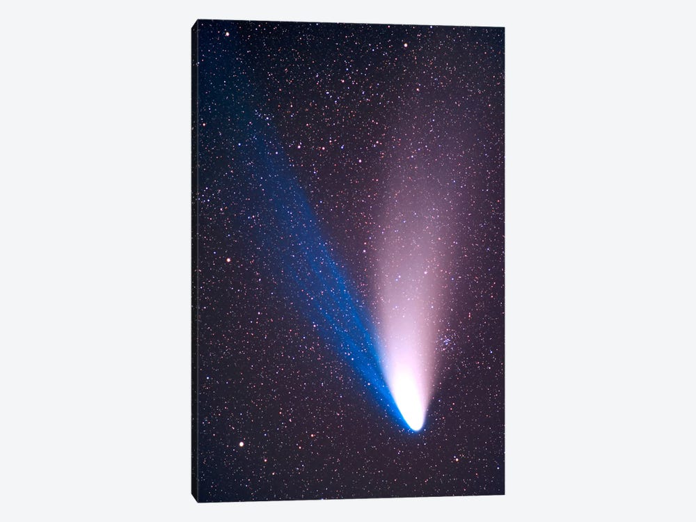 Comet Hale-Bopp, April 7, 1997 by Alan Dyer 1-piece Canvas Print