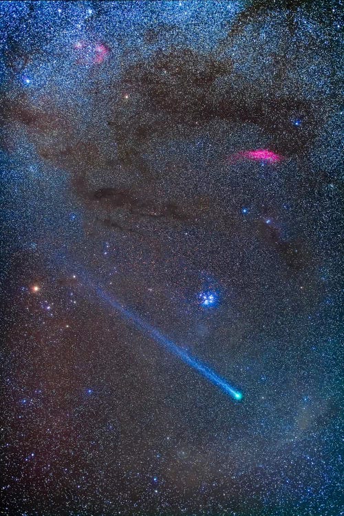 Comet Lovejoy's Long Ion Tail In Taurus
