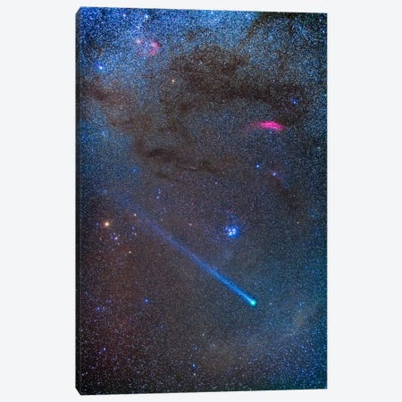 Comet Lovejoy's Long Ion Tail In Taurus Canvas Print #TRK1166} by Alan Dyer Canvas Wall Art