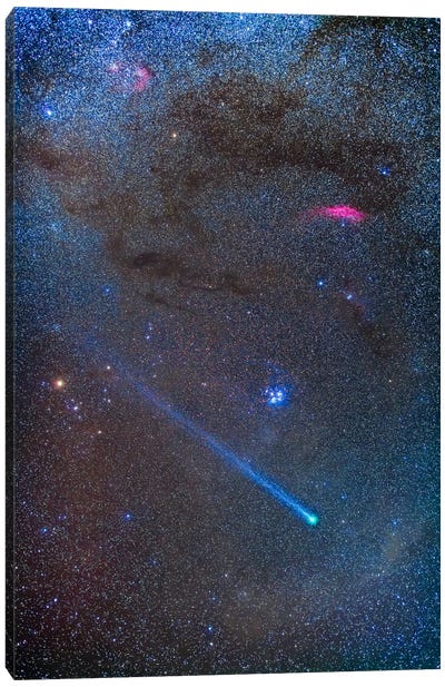 Comet Lovejoy's Long Ion Tail In Taurus Canvas Art Print - Stocktrek Images - Astronomy & Space Collection