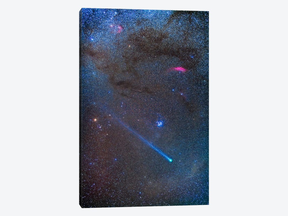 Comet Lovejoy's Long Ion Tail In Taurus by Alan Dyer 1-piece Canvas Art